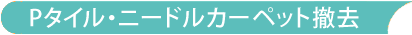 ニードルカーペット撤去