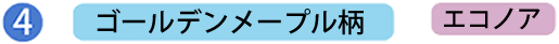 ゴールデンメープル柄