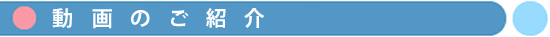 動画のご紹介